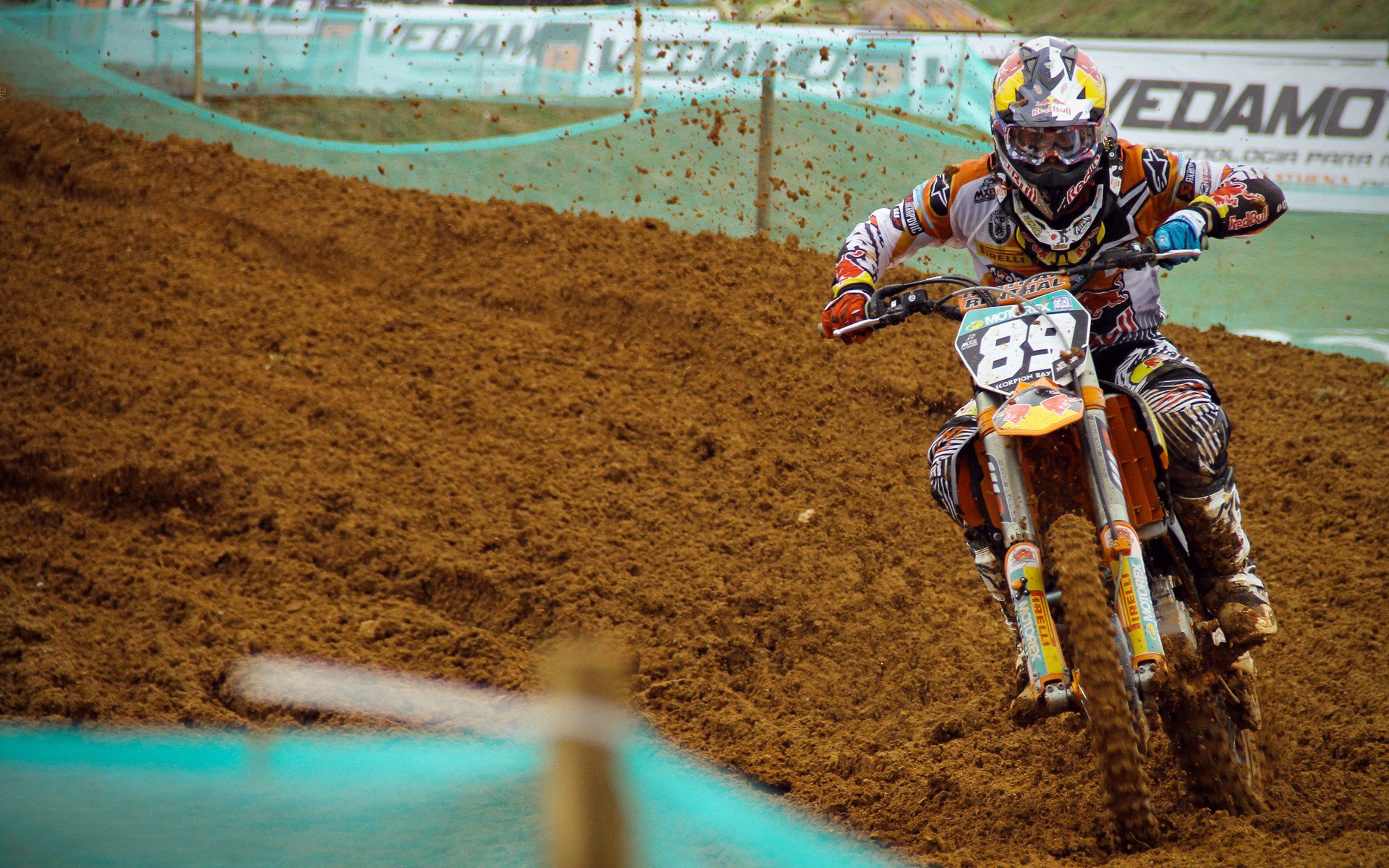 维尼修斯一剑封喉！他让伯纳乌的喧嚣化为死寂，又在阿尔及利亚人耳边炸响惊雷